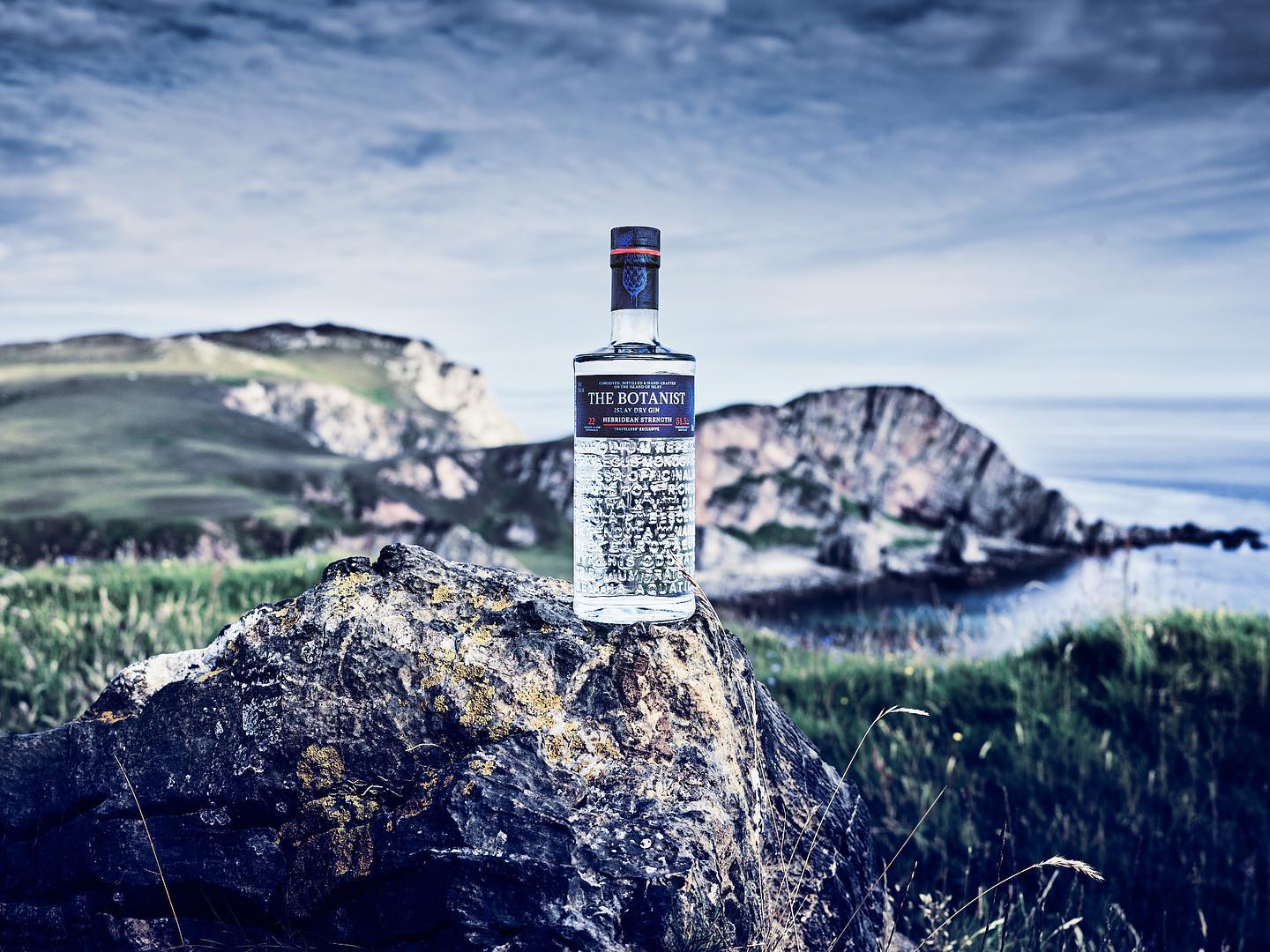 Discovering the Flavors of The Botanist Gin